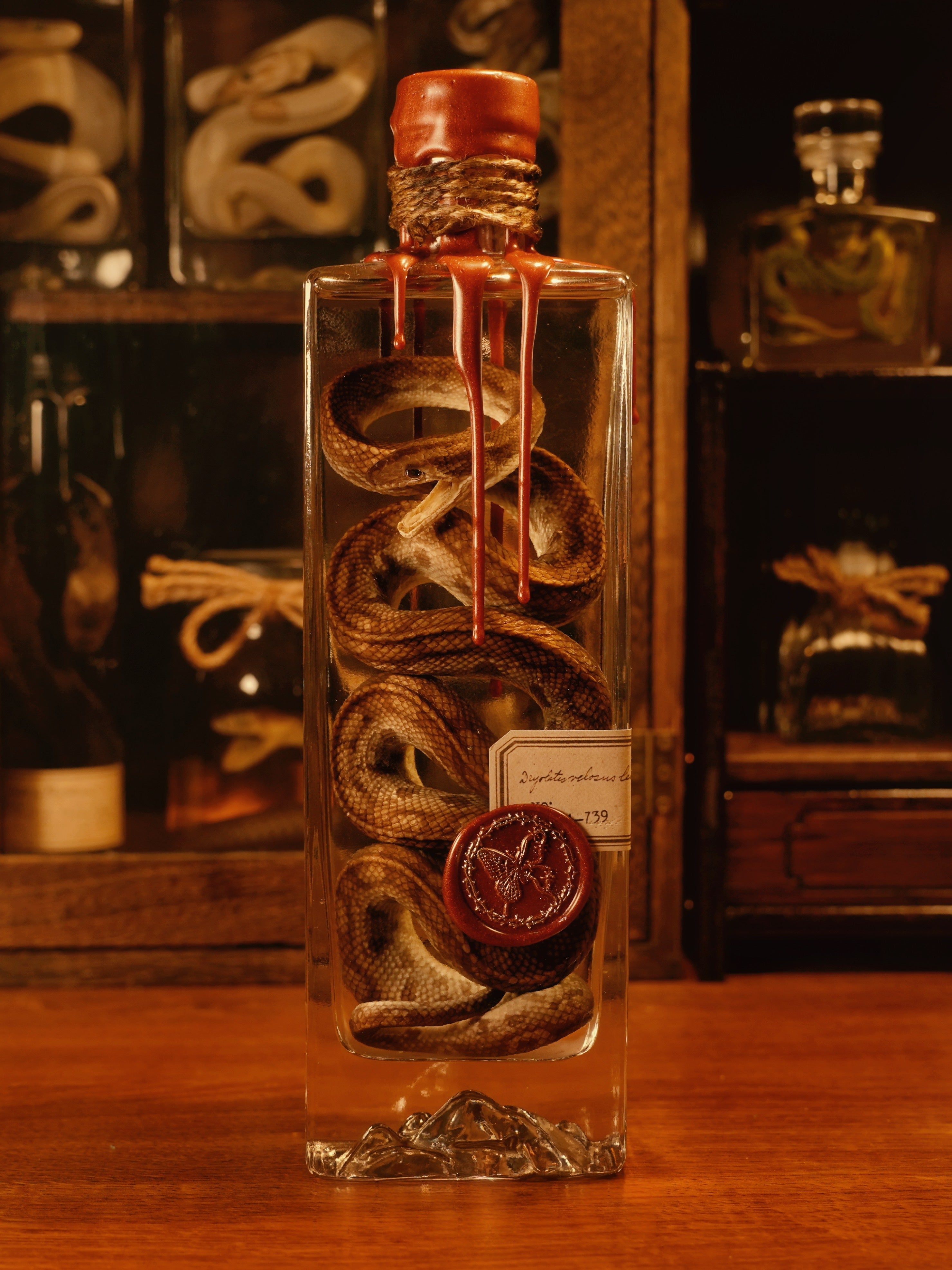 浸製標本 Wet Specimen